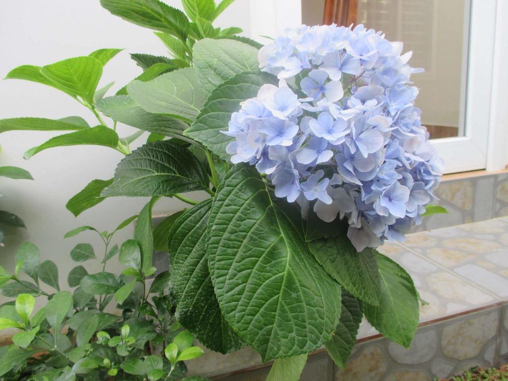 Manh Duyen Garden Homestay Που Κουόκ Εξωτερικό φωτογραφία