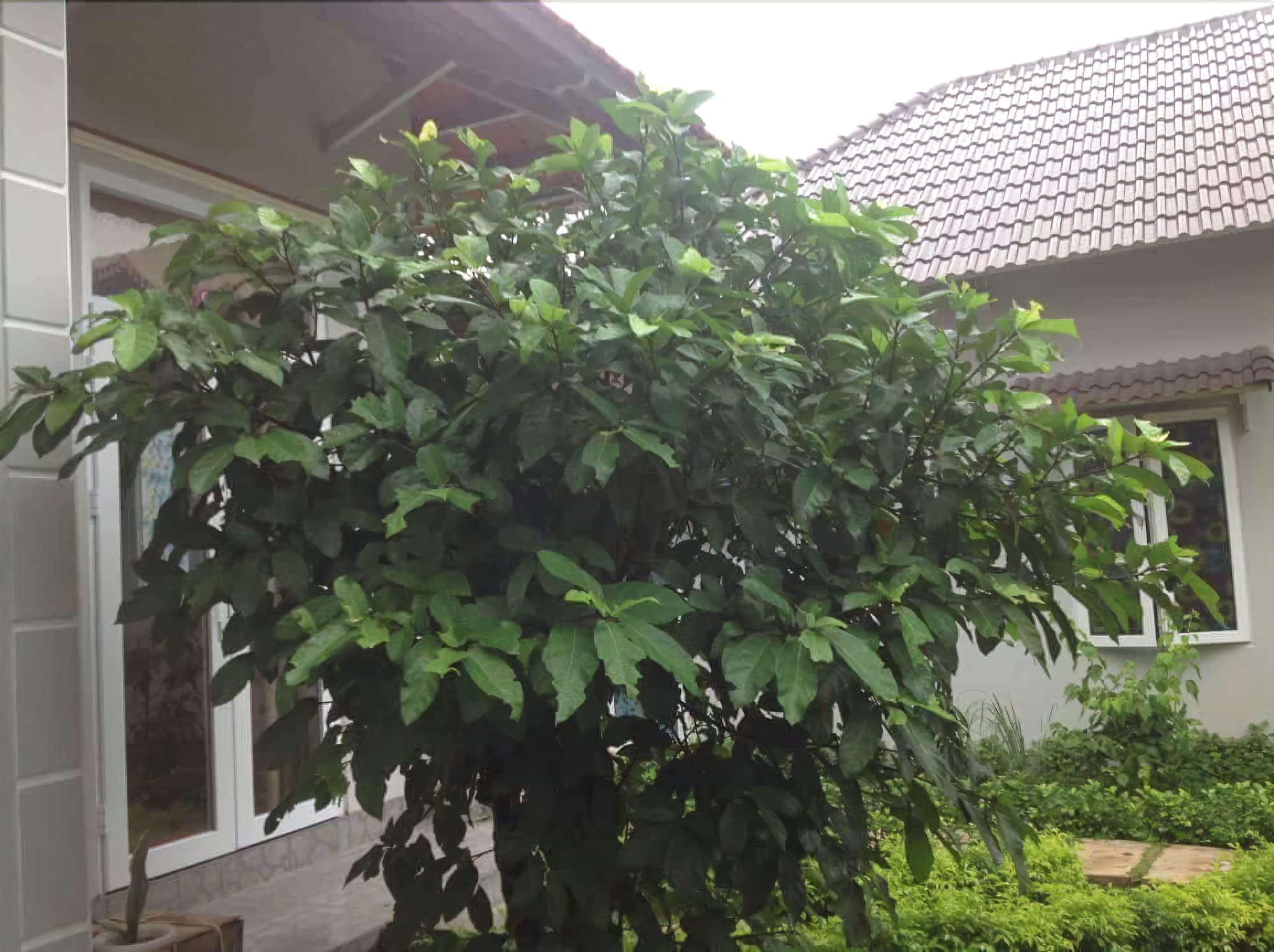 Manh Duyen Garden Homestay Που Κουόκ Εξωτερικό φωτογραφία